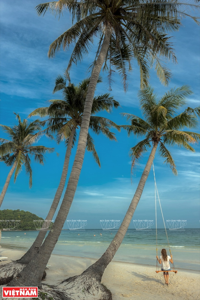  星滩成排的椰树向海倾斜，形成了浪漫迷人的美景。伯玉 摄 游客在椰影下乘凉。伯玉 摄 星滩是日光浴的理想场所。伯玉 摄 星滩海水碧蓝清凉，浸身其中令人心情舒畅，精神抖擞。伯玉 摄 游客观赏秀丽风景，领略安静祥和的气氛。伯玉 摄 星滩长7公里，是洁白沙滩的天堂，被国际旅游界列为越南乃至东南亚最美海滩。伯玉 摄 游客在雪白沙滩上漫步。伯玉 摄 星滩以“最白最净”沙滩著称。本报记者 黎明 摄 在星滩上租用皮划艇、摩托艇每小时10万盾。本报记者 黎明 摄 星滩水上运动十分丰富，有摩托艇、皮划艇、香蕉船、冲浪等。本报记者 黎明 摄 游客划香蕉船。本报记者 黎明 摄 游客品尝新鲜海产。伯玉 摄 星滩各饭店提供丰富的越菜和西菜。伯玉 摄 星滩新鲜的海产。伯玉 摄 游客在星滩品尝菜肴。伯玉 摄