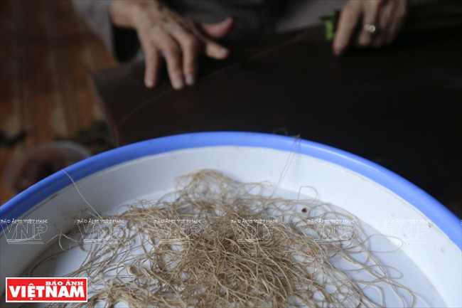 拉藕丝需要非常细心和细致 图自越通社