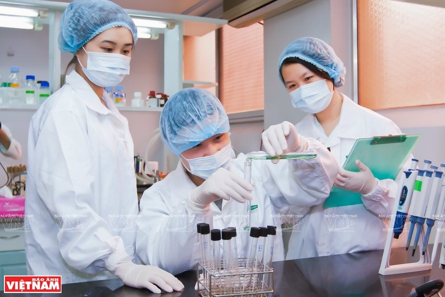 在VABIOTECH疫苗研究室工作的年轻技术人员认真工作。图自《越南画报》