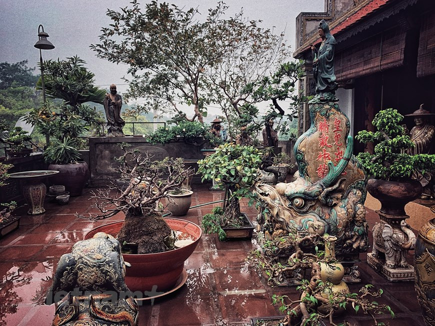 在研究北部平原传统五间古屋的设计时，迷上这种建筑风格的人总是不得不对独具一格、富有传统价值的五间木屋感到佩服和惊讶。目前，传统的五间木屋已经逐渐重新出现在现代生活中。陈南爵的五间住屋前院是他亲手精心创造的一个盆景花园空间。图自Vietnam+