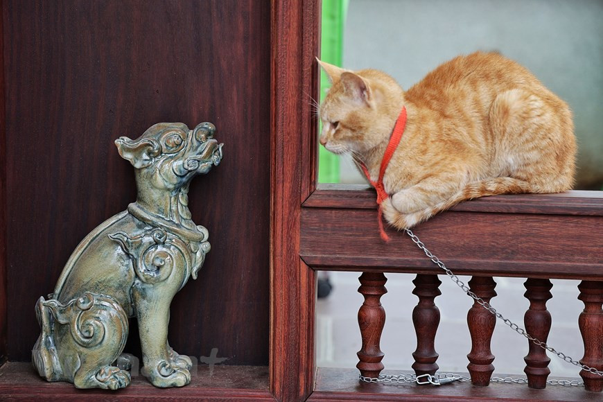 生活与艺术融为一体。在这里呼吸清新空气，欣赏花园里的盆景，观赏木雕、陶瓷作品，的确是一个放松身心的好地方。同时，这里也是子孙们可以聚在一起举行聚会的地方。花园也有风水之意，显示天地和谐，体现主人做任何事都具备天时地利人和的愿望。图自Vietnam+