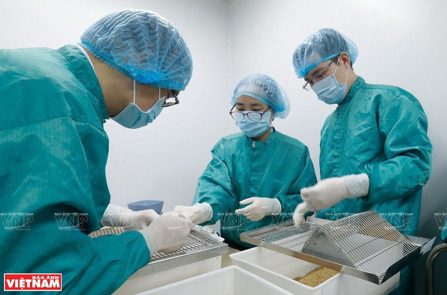 VIBIOTECH科学家在疫苗研究室进行研究。图自《越南画报》