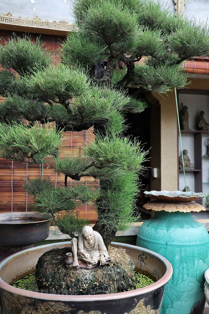 传统五间住屋是北部平原地区独特的建筑之一，其蕴含着该地区历史以及民间文化特色。在自己的五间木屋，陈南爵不仅精心创造精美细致的陶瓷作品，而且还制作独特精彩的与陶瓷结合的盆景 。对于热爱大自然的人来说，这是理想的空间。图自Vietnam+