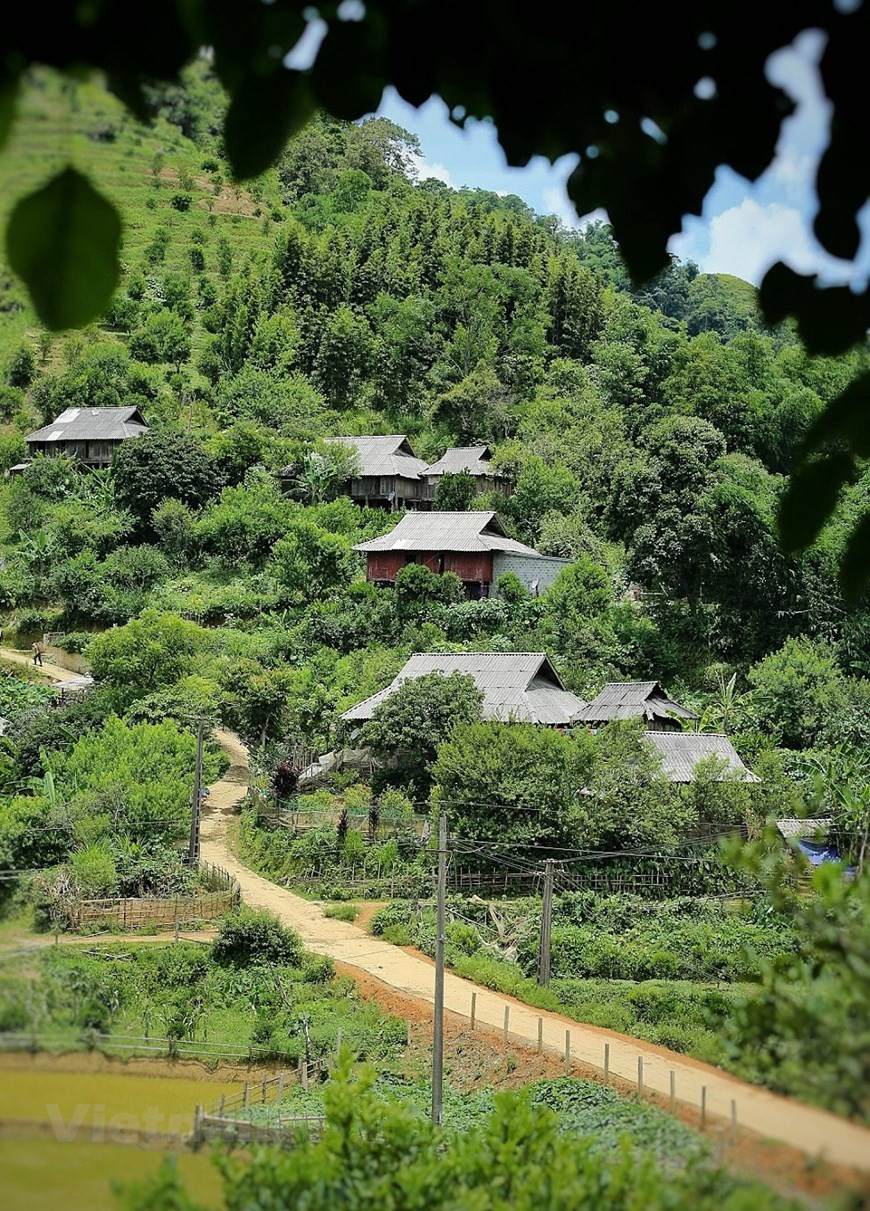 引导战村的山路弯弯曲曲。零星分布从山脚到山顶的高脚屋让这里的自然景观仍如诗如画。目前，战村居民仍保留着富有本民族特色的额文化和风俗习惯，如高脚屋和芒族服装。自实施民宿旅游模式以来，战村环境景观大有改善，乡村面貌焕然一新。2016-2020年阶段，战村等靠民宿旅游模式已为新乐县旅游增长做出巨大贡献。2016-2020年阶段，战村等靠民宿旅游模式已为新乐县旅游增长做出巨大贡献。这就是当地努力采取措施来把旅游潜力和优势充分发挥出来的巨大动力。图自Vietnam+