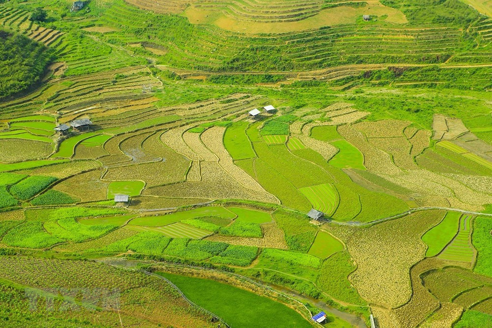 西北山丘梯田满眼绿色。越通社记者 盘俊英 摄