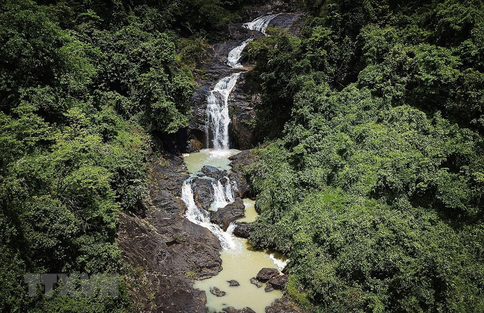 载带（Tải Đai）瀑布——自然瀑布和周围自然深林景色。越通社记者 仲达 摄