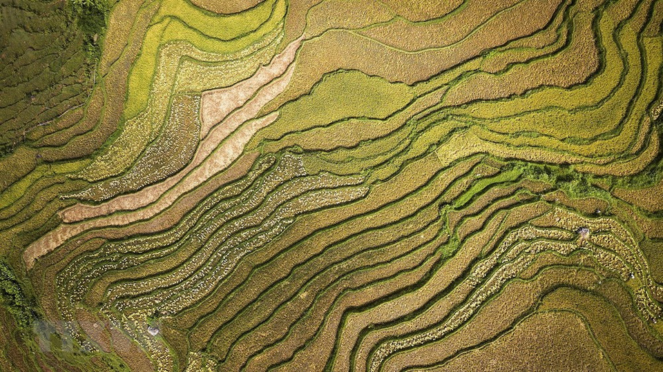 石安乡梯田俯瞰风景。越通社记者 仲达 摄