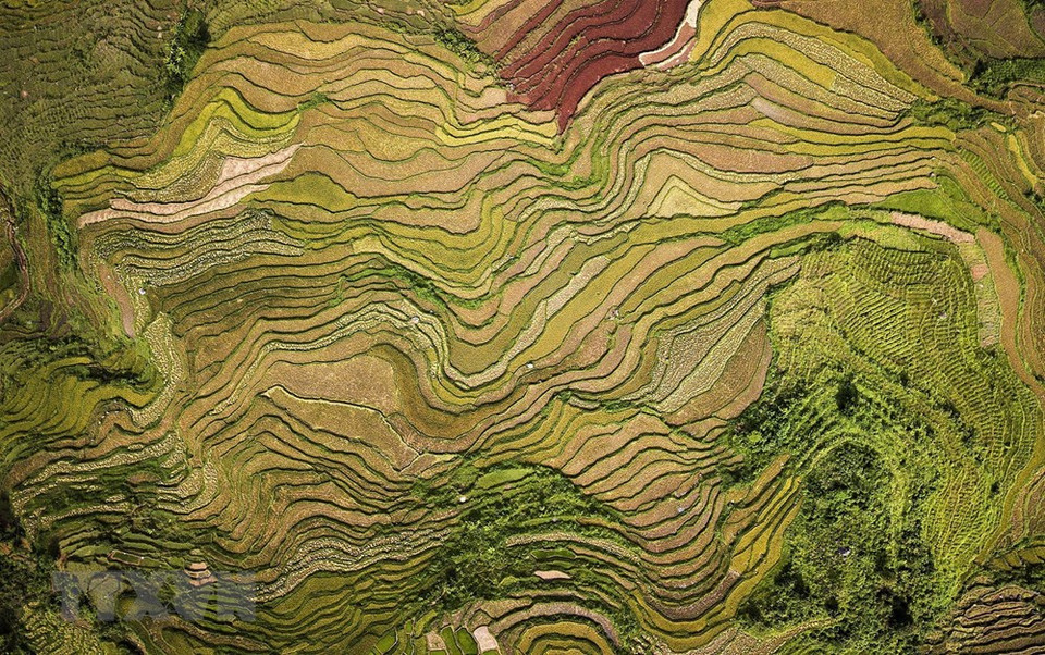 和平省高峰县石安乡壮阔美丽的梯田——如诗如画景色让人迷醉其中。越通社记者 仲达 摄