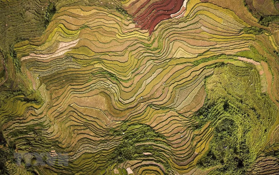 和平省高峰县石安乡壮阔美丽的梯田——如诗如画景色让人迷醉其中。越通社记者 仲达 摄