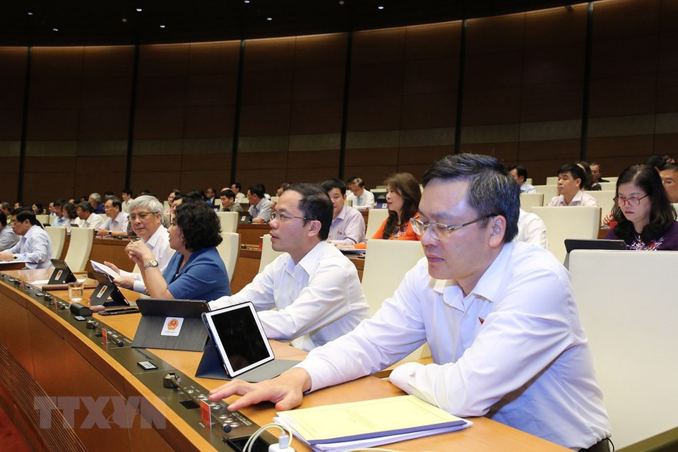 国会代表按钮表决通过有关批准《欧盟-越南自由贸易协定》（EVFTA）的决议。越通社记者 杨江 摄