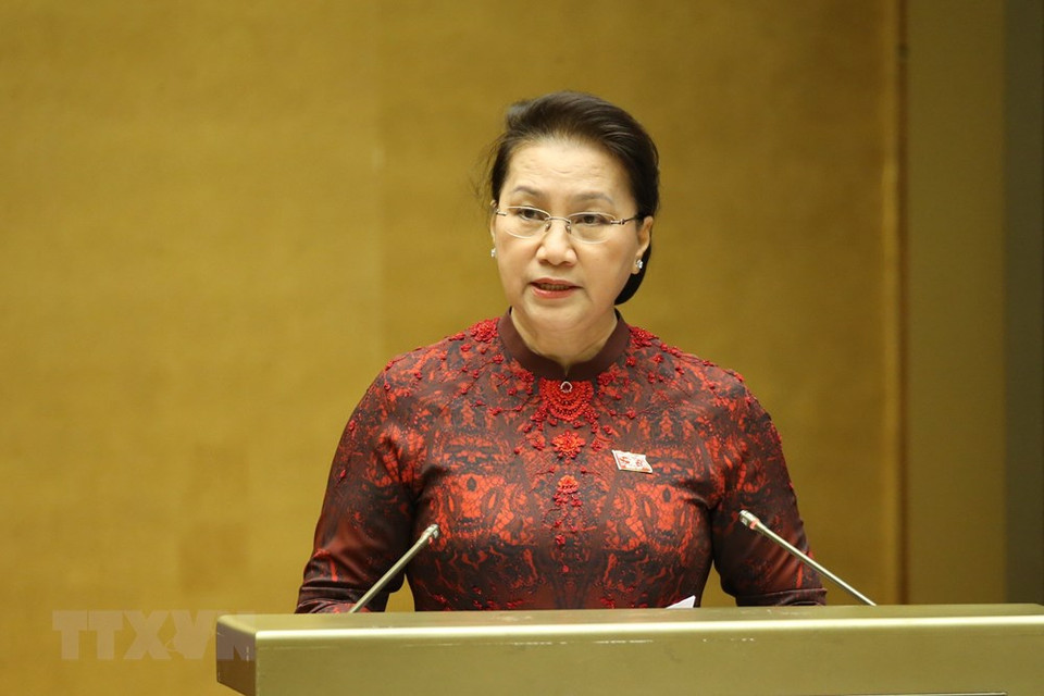 越南国会主席阮氏金银在会上发表讲话。越通社记者 杨江 摄
