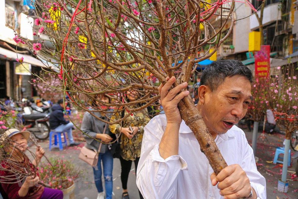 人们来到这里不仅为了买花而且还为了寻找河内市的迎春风味。图自越通社