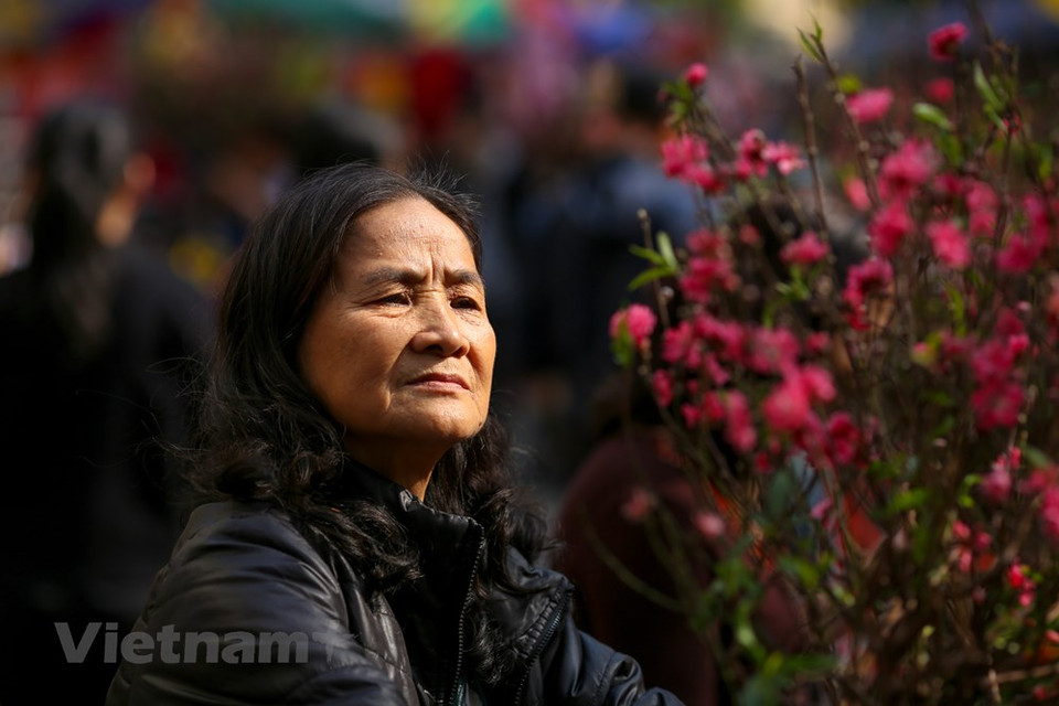人们来到这里不仅为了买花而且还为了寻找河内市的迎春风味。图自越通社