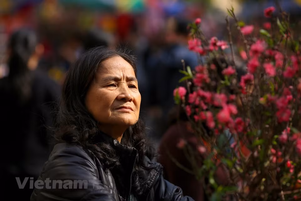 人们来到这里不仅为了买花而且还为了寻找河内市的迎春风味。图自越通社