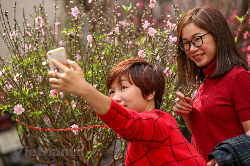 花市吸引了众多首都河内居民前来欣赏桃花的美丽并拍照留念。图自越通社