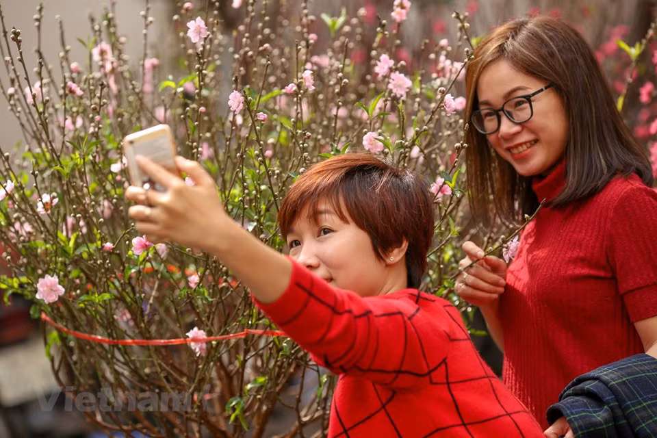 花市吸引了众多首都河内居民前来欣赏桃花的美丽并拍照留念。图自越通社