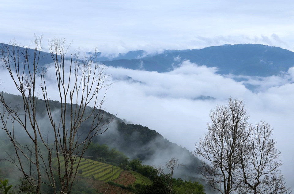 山势连绵起伏，云雾缭绕，美丽的梯田也被云雾笼罩着。图自 越通社