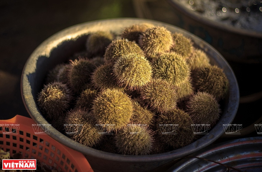 在奈村鱼市摆卖的新鲜海产。图自 《越南画报》