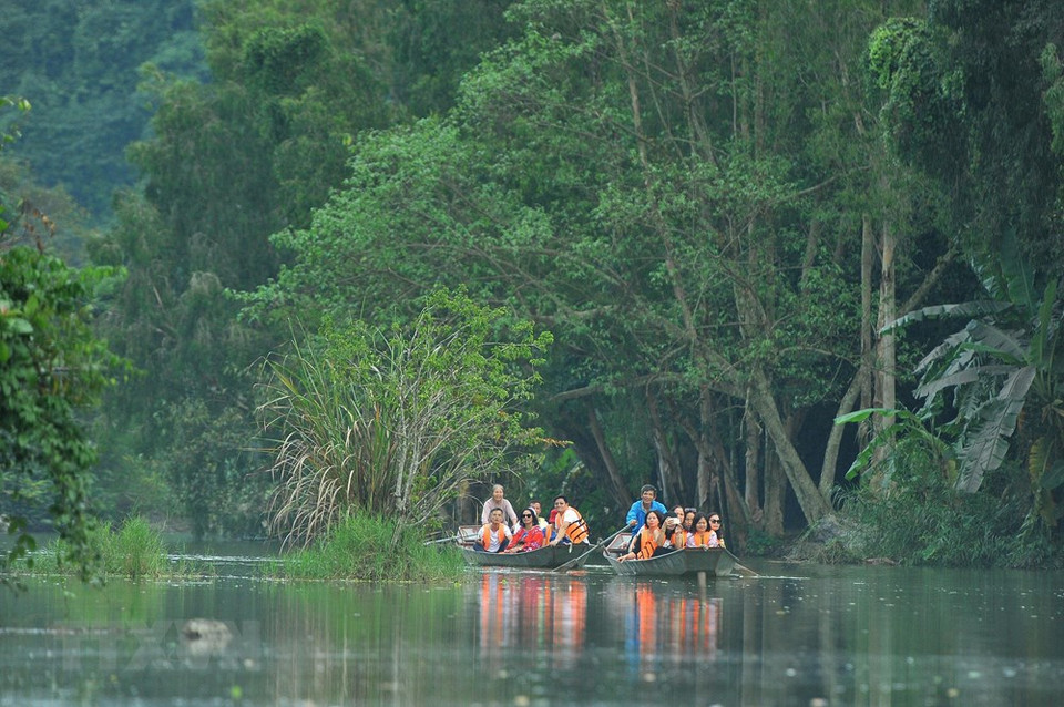 来到通岩鸟园，游客可更加了解40种鸟类的野生生活。当夕阳落下时，白鹭、白鹤成群满天飞翔的画面让游客流连忘返。图自越通社