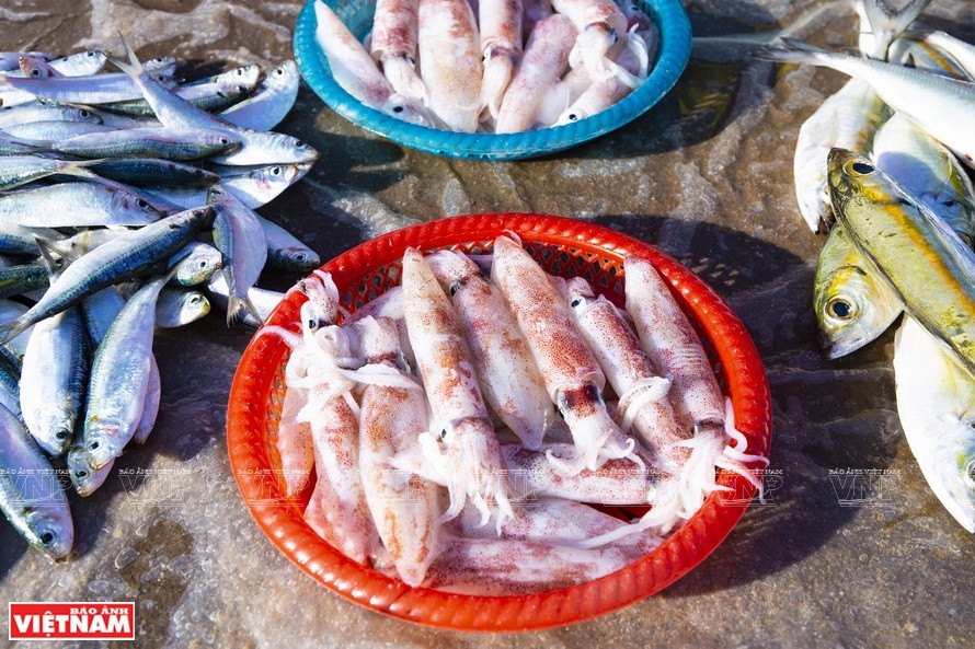 在奈村鱼市摆卖的新鲜海产。图自 《越南画报》