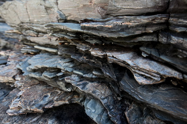 亮海石滩上的自然痕迹。（图片来源：越通社《越南画报》）