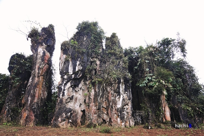 石山神群体。（图片来源：vnexpress.net）