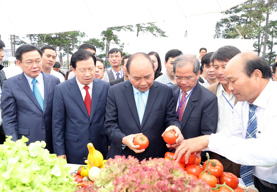 阮春福同各位代表参观在会上展示的各种产品。越通社记者 统一 摄