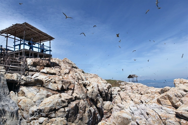 游客在小棚观看海鸥。（图片来源：越南画报）