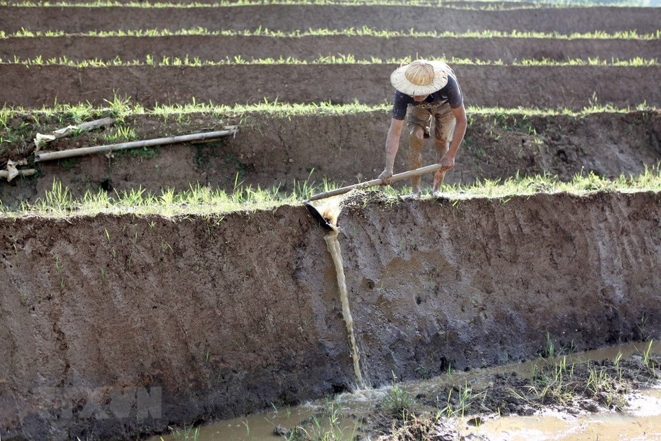 当地同胞引水入田。越通社记者 贵忠 摄