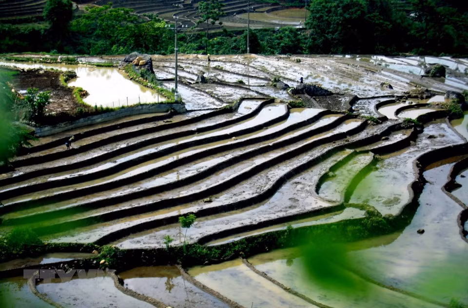 三堂县塔棱（Tả Lèng）乡田地已装满水。越通社记者 贵忠 摄