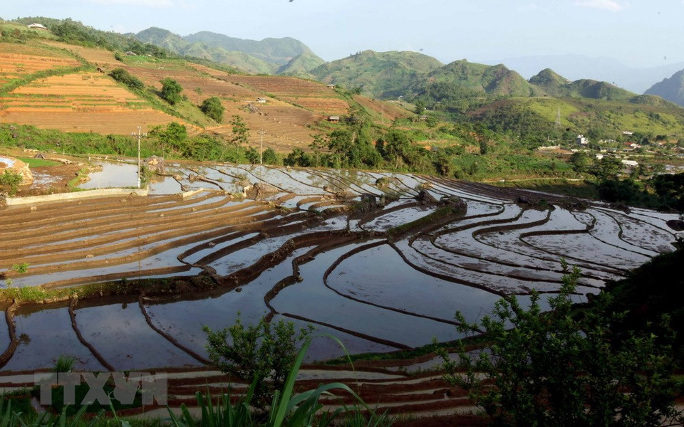三堂县塔棱（Tả Lèng）乡田地已装满水。越通社记者 贵忠 摄