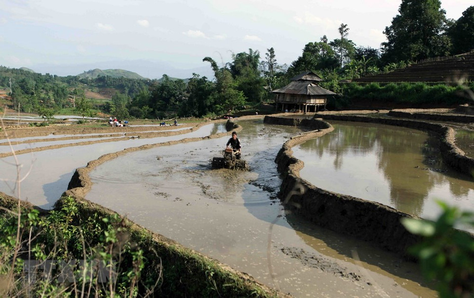 三堂县塔棱（Tả Lèng）乡田地已装满水。越通社记者 贵忠 摄