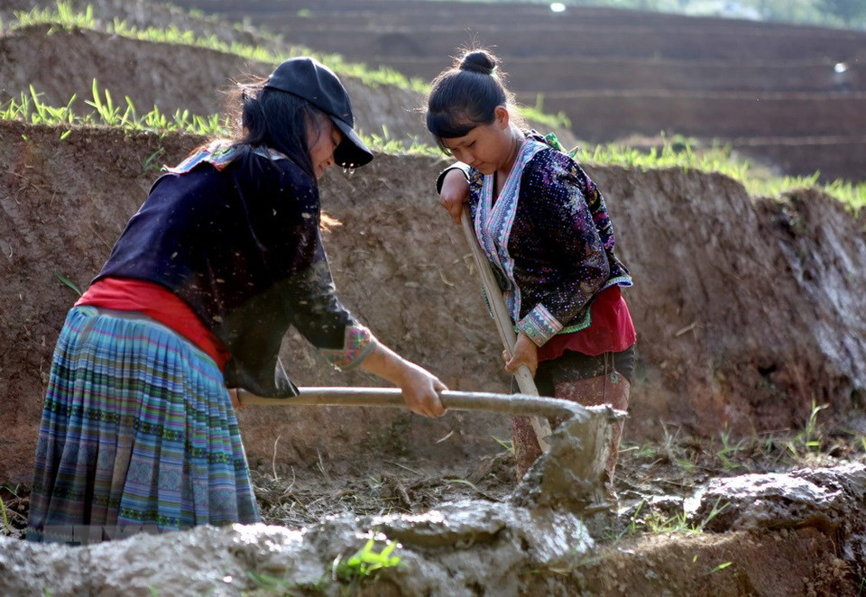 三堂县塔棱（Tả Lèng）乡同胞引水准备进入新的种植季节。越通社记者 贵忠 摄