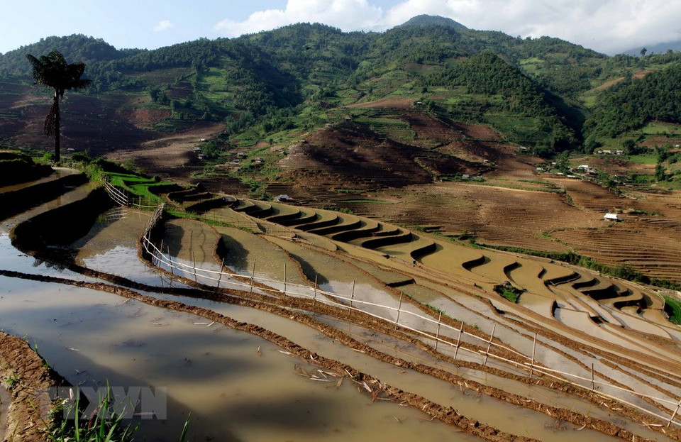 三堂县塔棱（Tả Lèng）乡同胞引水准备进入新的种植季节。越通社记者 贵忠 摄
