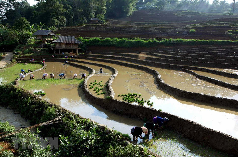 三堂县塔棱（Tả Lèng）乡田地已装满水。越通社记者 贵忠 摄