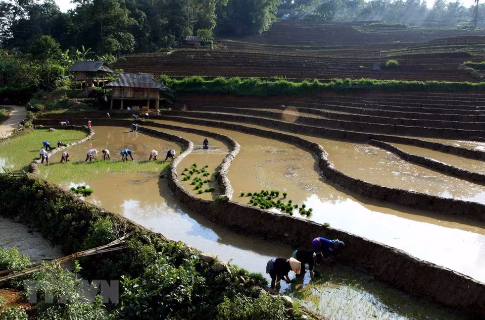 三堂县塔棱（Tả Lèng）乡田地已装满水。越通社记者 贵忠 摄
