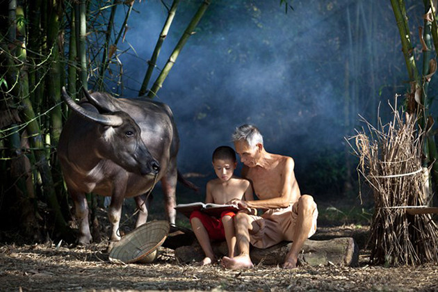 （图片来源：越南《人民报网》）