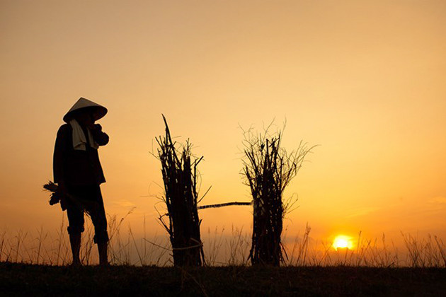 （图片来源：越南《人民报网》）