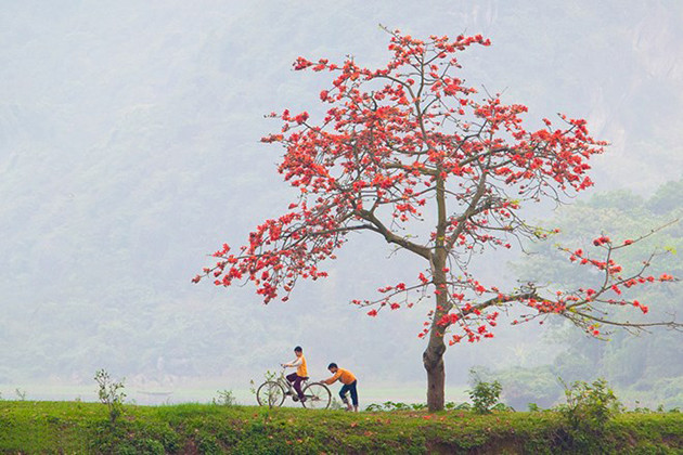 （图片来源：越南《人民报网》）