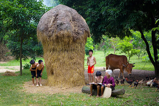 （图片来源：越南《人民报网》）