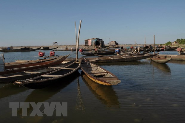 三江潟湖生态体系非常丰富，拥有高经济价值的数千种水生动物，是湖边居民的谋生之地。图自越通社