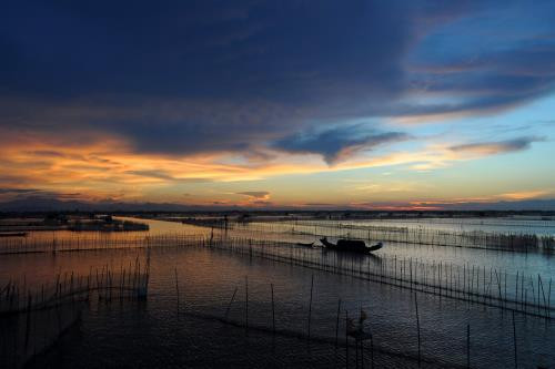 三江潟湖生态体系非常丰富。图自越通社