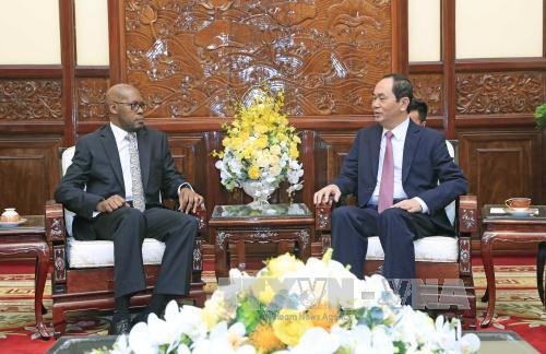 陈大光（右）会见赞比亚新任驻越大使瓦鲁比达·埃玛坎多。越通社记者 颜创 摄