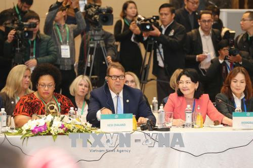 新西兰代表发表意见。越通社记者 伊晋 摄