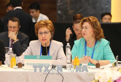 俄罗斯代表发表意见。越通社记者 伊晋 摄