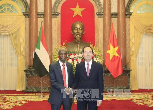  陈大光（右）会见苏丹新任驻越大使穆巴拉克·伊斯梅尔。越通社记者 颜创 摄