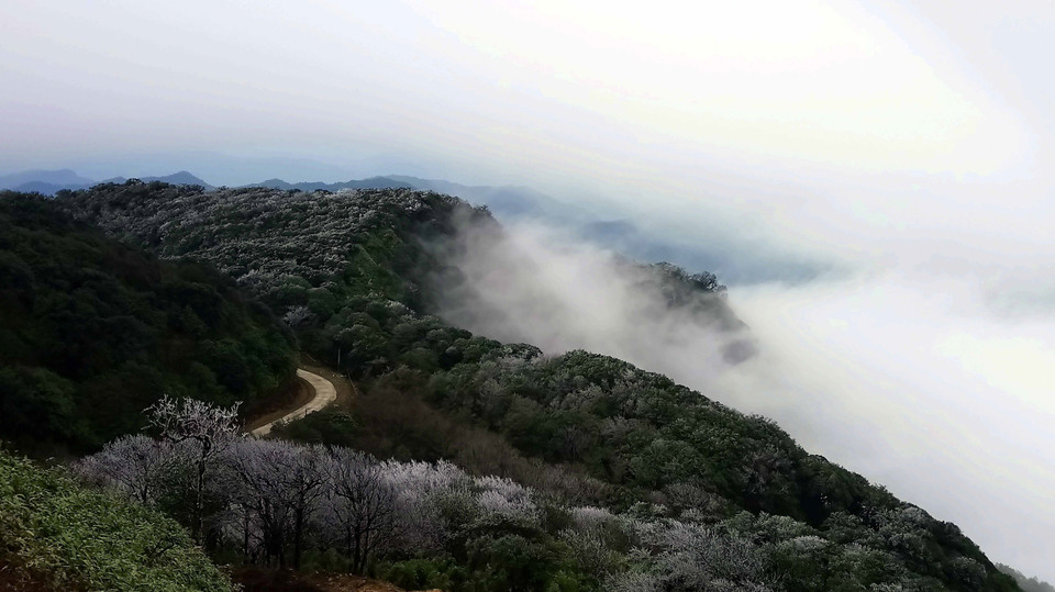高平省高山出现结霜冰挂景象。越通社记者 国达 摄