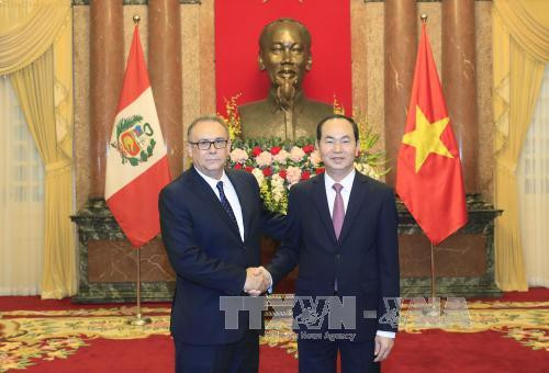  陈大光（右）会见秘鲁新任驻越大使莫雷利·萨尔加多。越通社记者 颜创 摄