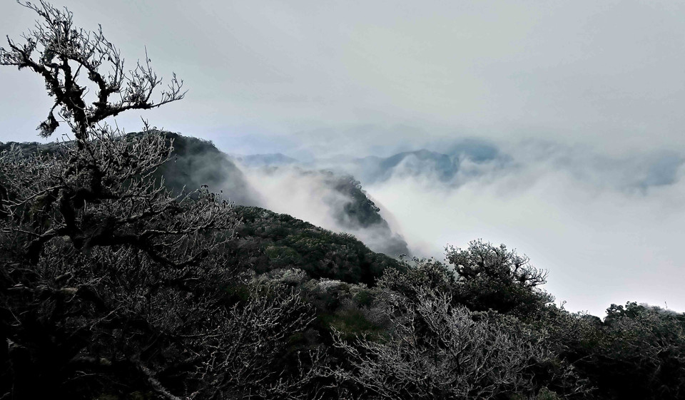 高平省高山出现结霜冰挂景象。越通社记者 国达 摄