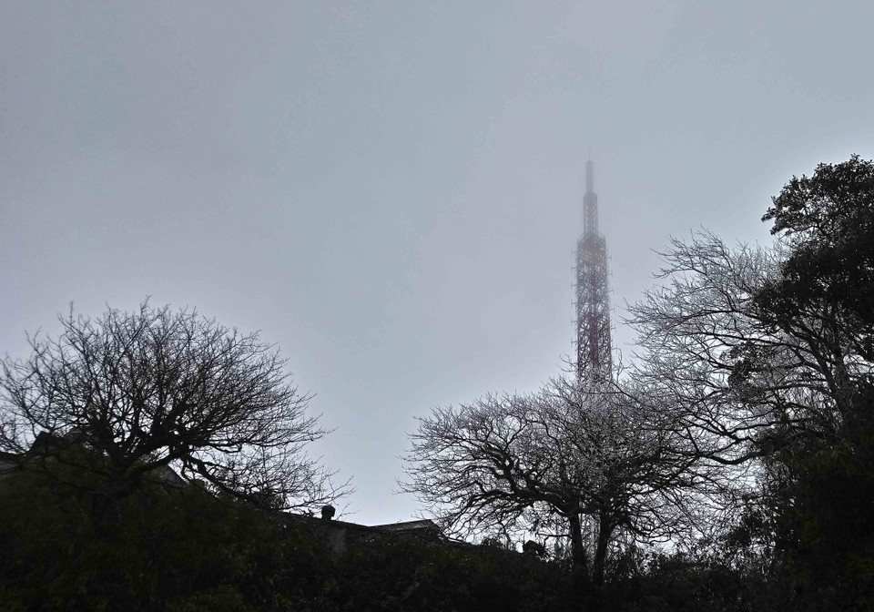 高平省高山出现结霜冰挂景象。越通社记者 国达 摄